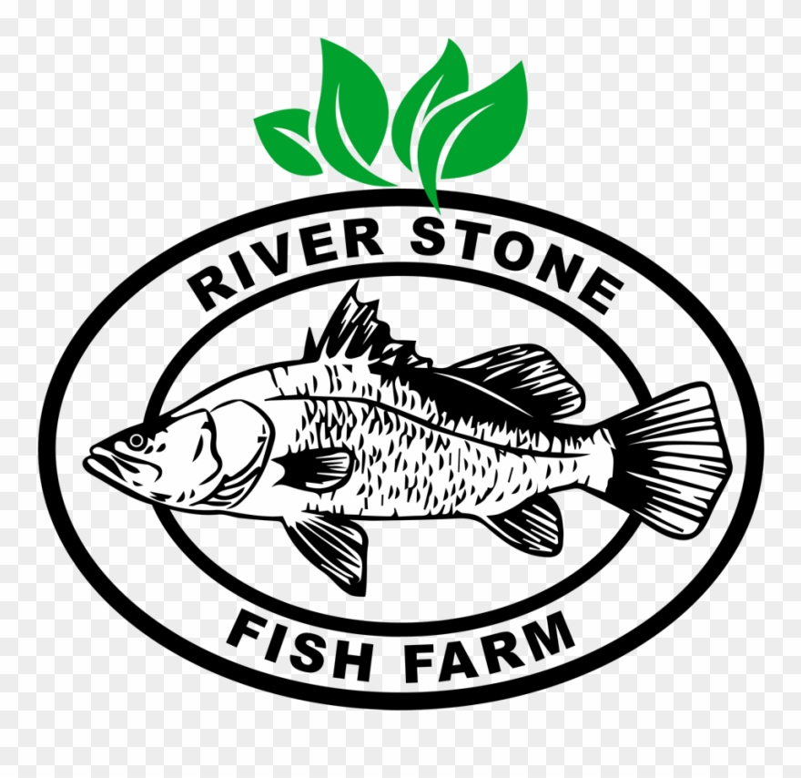 Dead Clipart Stinky Fish - Boston United F.c. - Png Download