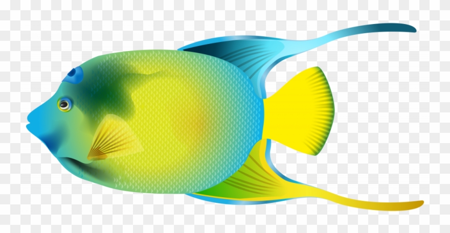 Confidential Fish Clip Art For Kids Queen Angelfish - Angel Fish Png Transparent Png