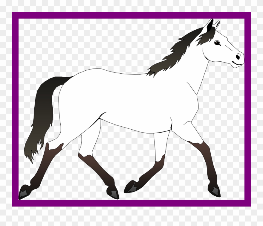 Picture Transparent Stock Incredible Best Picture Of - Horse Black And White Drawing Clipart - Png Download