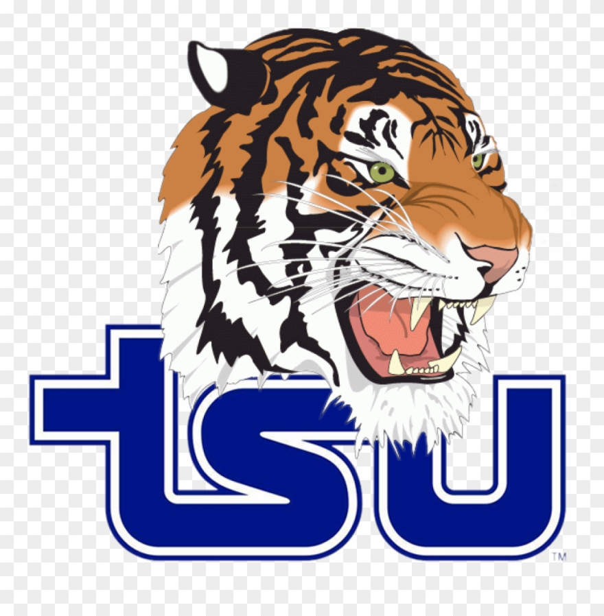 Full Potential Trainees Have Received Scholarships Clipart