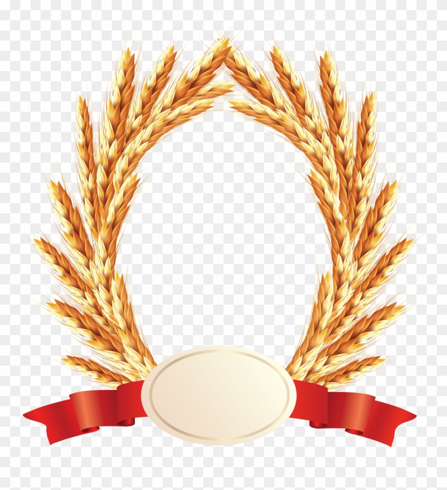 Wheat Png - Прозрачном Фоне Колосья Пшеницы Клипарт Clipart