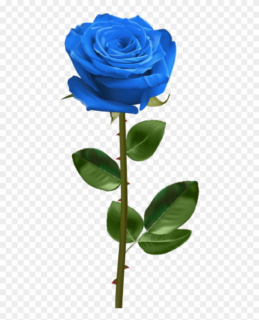 Blue Rose With Stem Png - White Rose With Stem Clipart
