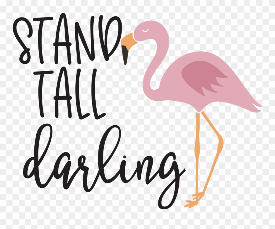 Freetoedit Ftestickers Flamingo Quotes & Sayings Summer - Wedding Vow Journal: Your Guide To Writing Edding Vows Clipart