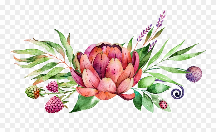 Protea Flower Png Clipart (#1951995) - PinClipart