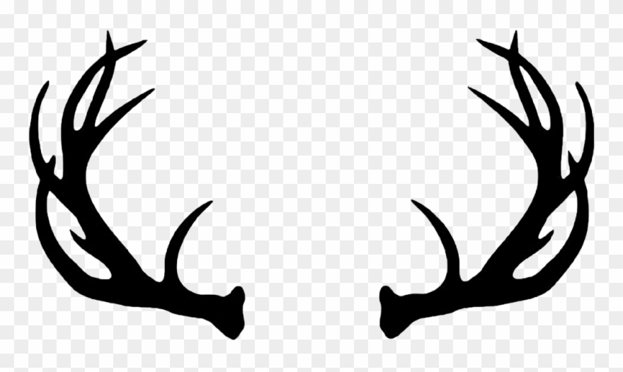 Deer Silhouette Png Www Imgkid Com The Image Kid Has - Deer Antlers Clipart Black And White Transparent Png