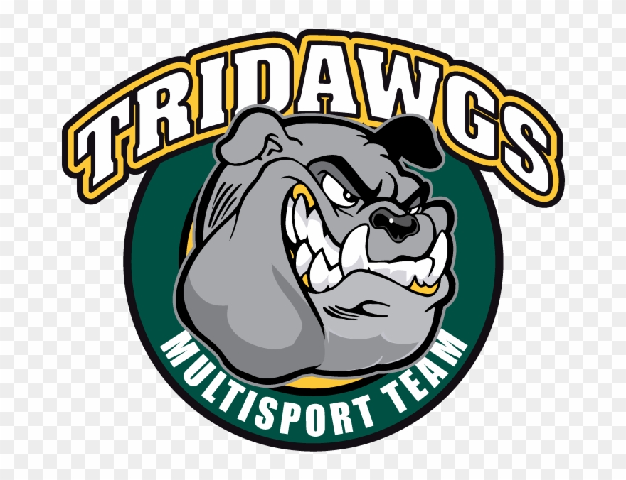 Adult, Ladies, And Youth Short Sleeve Performance T-shirt - Dsf Tri-dawgs Dsf Tri-dawgs Sticker (oval) Clipart