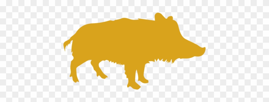 Flowers And Fresh Rosemary, The Root Of Angelica, Coriander, - Wild Pig Clip Art - Png Download