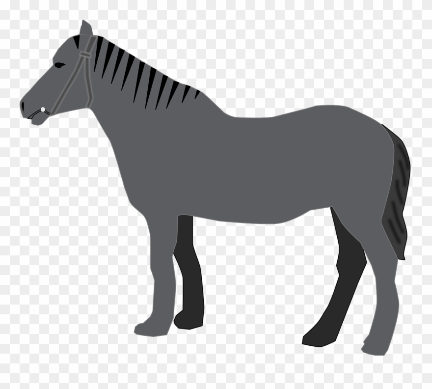 Grey Animal Mammal Transparent Image Pinterest - Arabian Horse Silhouette Clipart