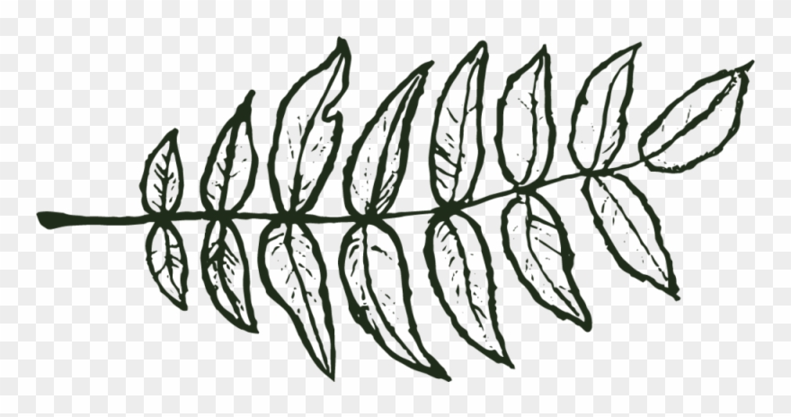 Follow On Instagram - Portable Network Graphics Clipart