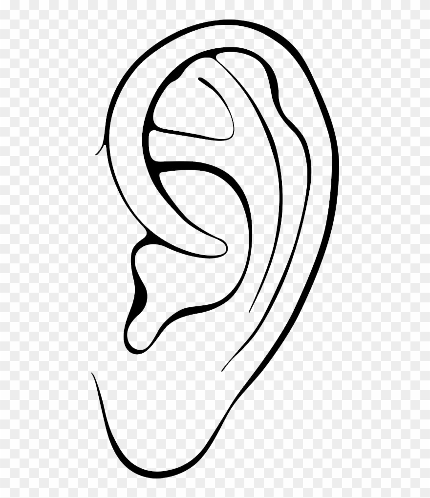 Acupuncture For Your Digestion - Cartoon Black And White Ear Clipart