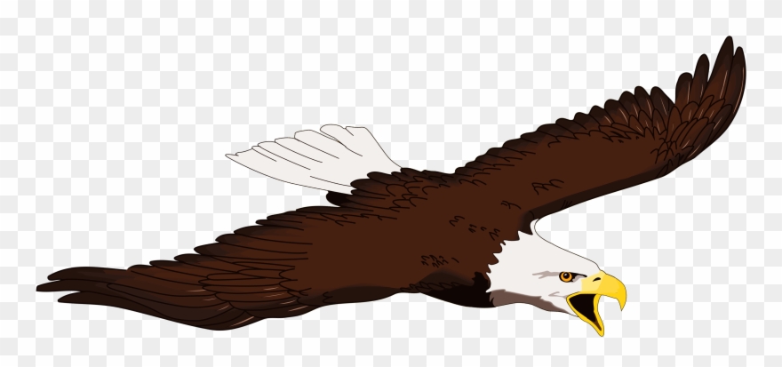 Eagle Clipart Free Clipart - Png Download