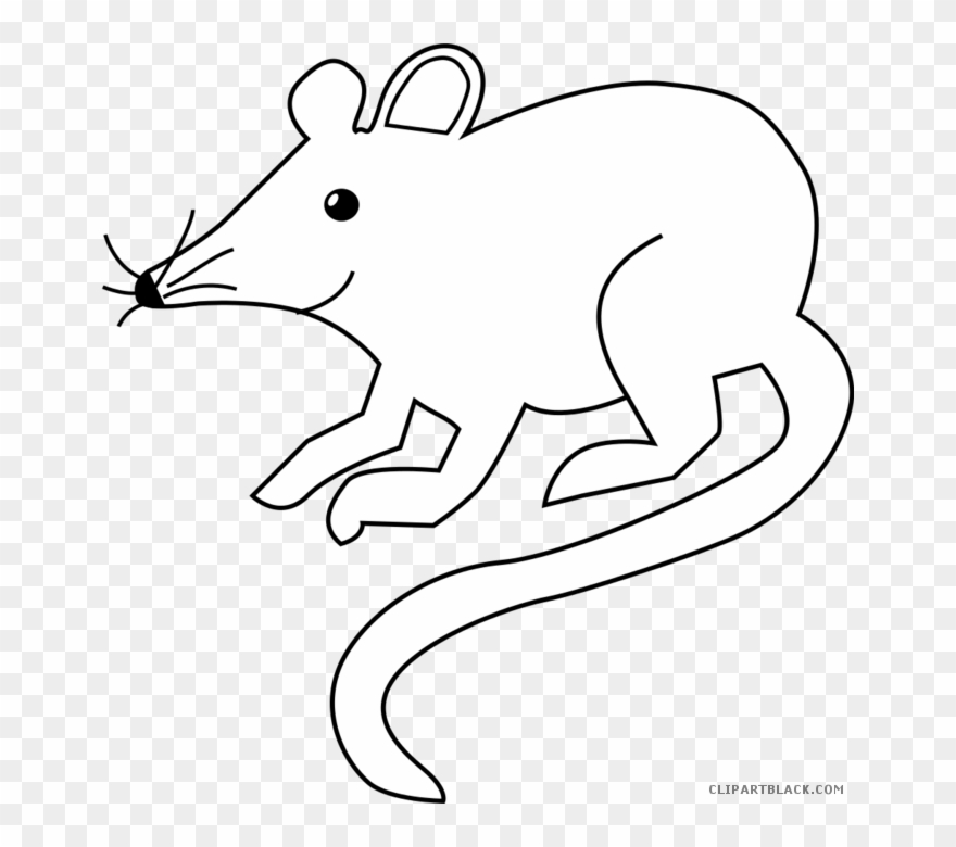 Graphic Library Page Of Clipartblack Com Outline Animal - Mouse Cartoon Black And White - Png Download