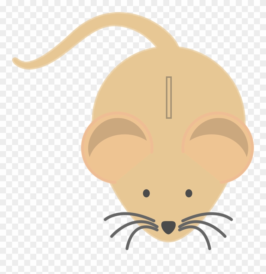 Mouse Cute Piggy Bank Moneybox Png Image - Mouse Colour Clipart Transparent Png