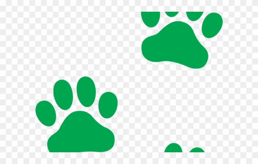 Dog Paw Prints Clipart - Dog Paw Print Orange - Png Download