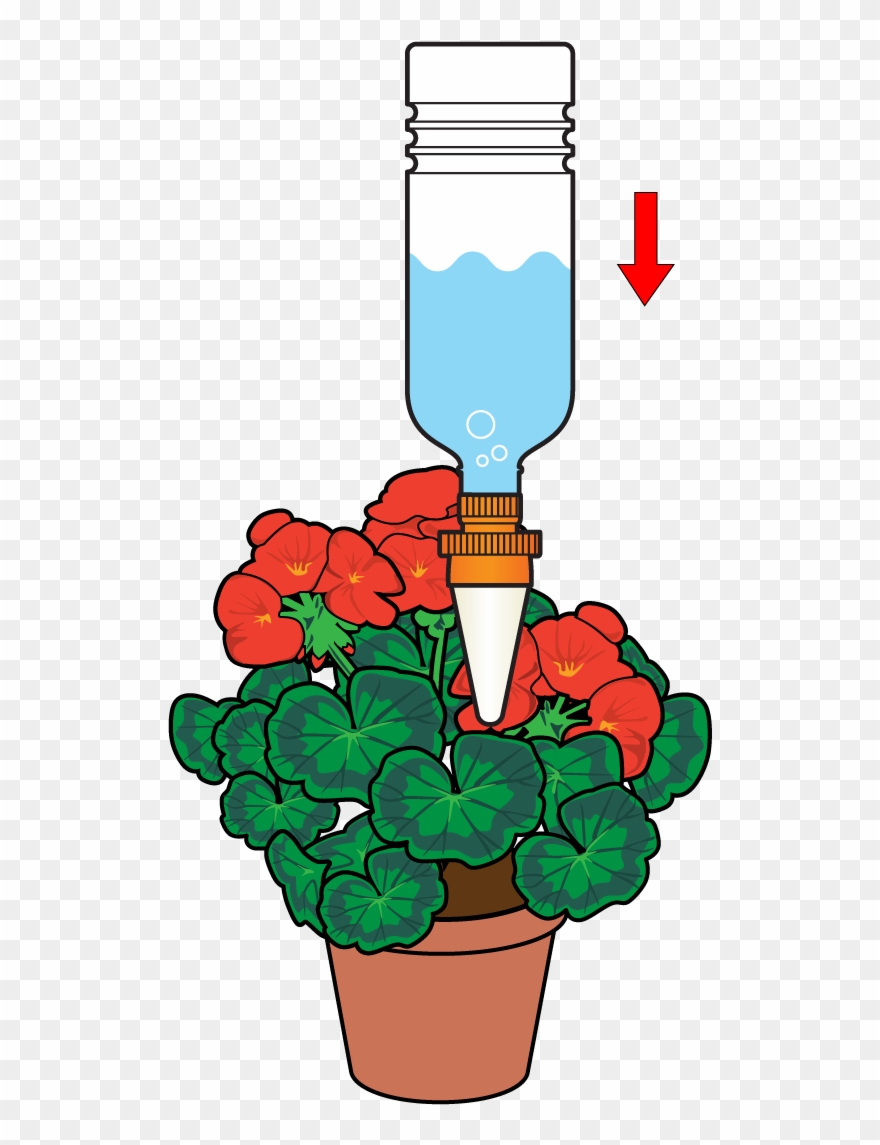Insert The Cone Into The Plant Pot To Allow A Slow - Cono Riego P/maceta Aquasolo Pack 3+1 Prm Clipart