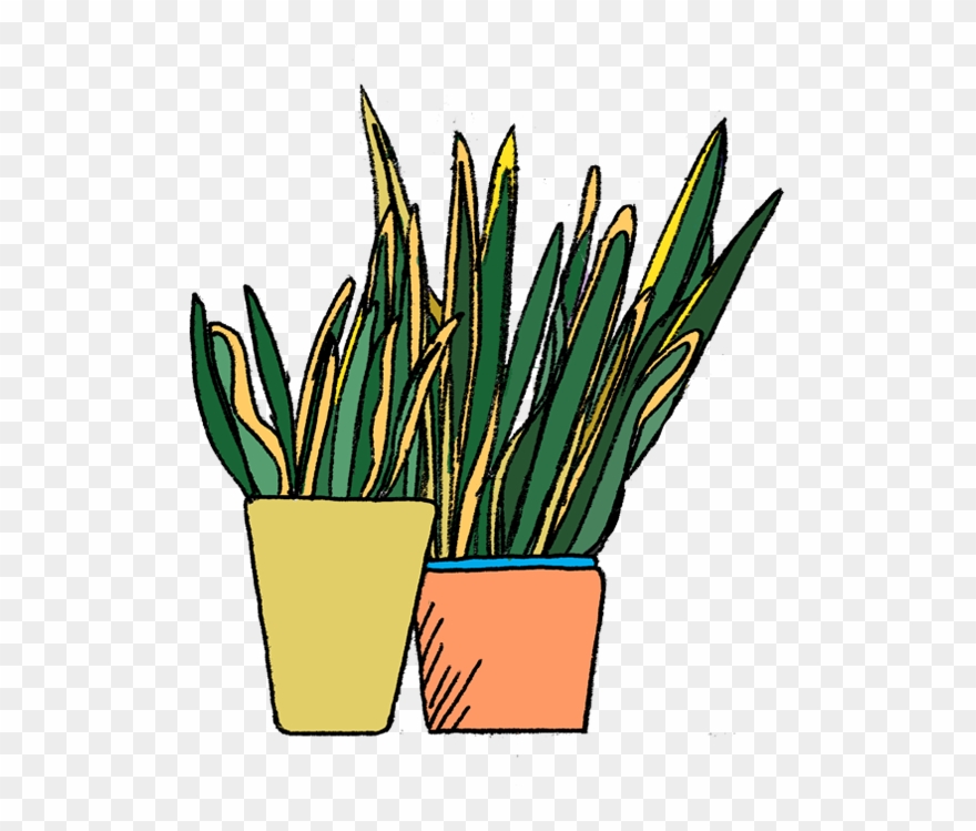 To Care For This Air Purify-er, Don't Water It Too Clipart