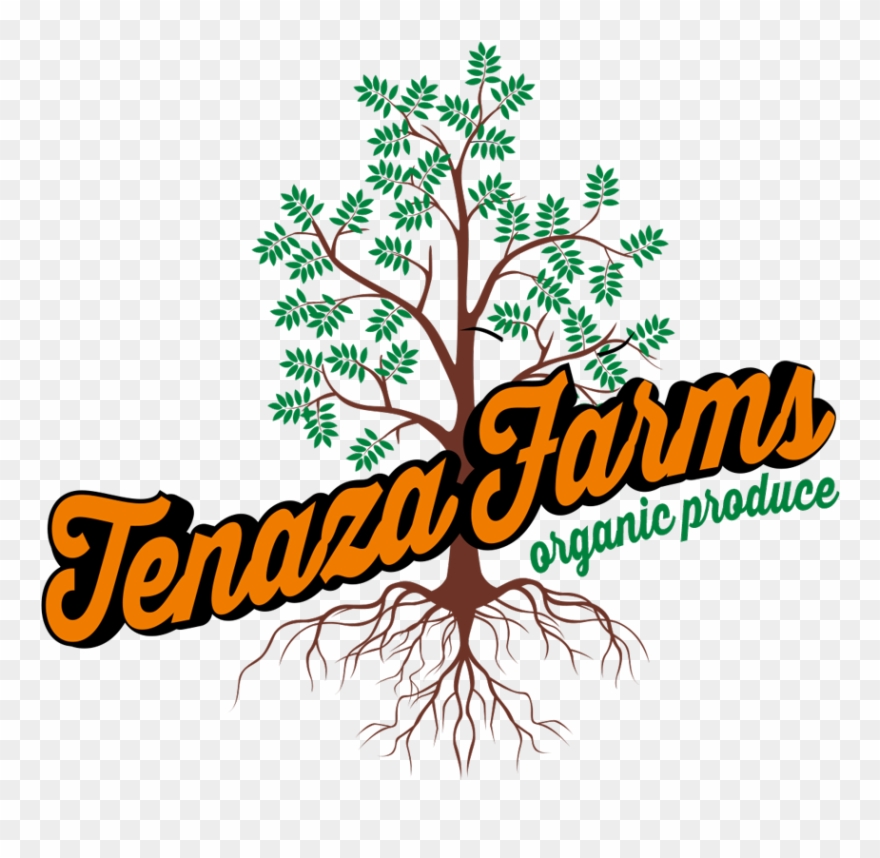 Our Farm, Rgv Organic Farming, Wholesale Organic Produce - Adesivo De Parede - Arvore E Passaros - 011nt-g Clipart