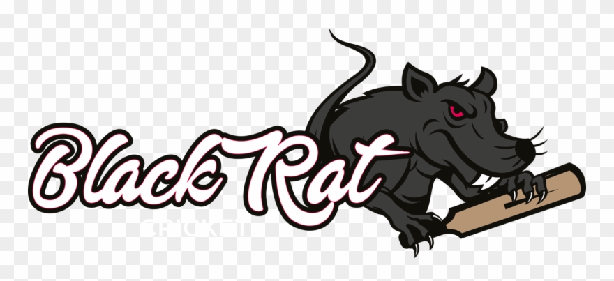 Black Rat Cricket Hand Knocking In Service - Illustration Clipart