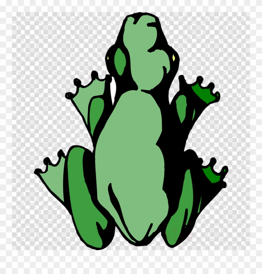 Frog Clipart Toad Tree Frog Clip Art - Frog - Png Download
