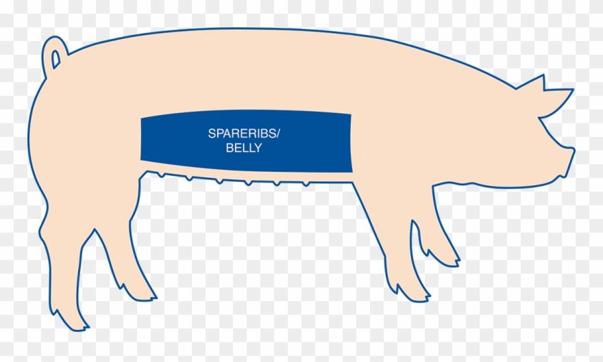 Spareribs Come From The Belly Of The Hog And Are Known Clipart