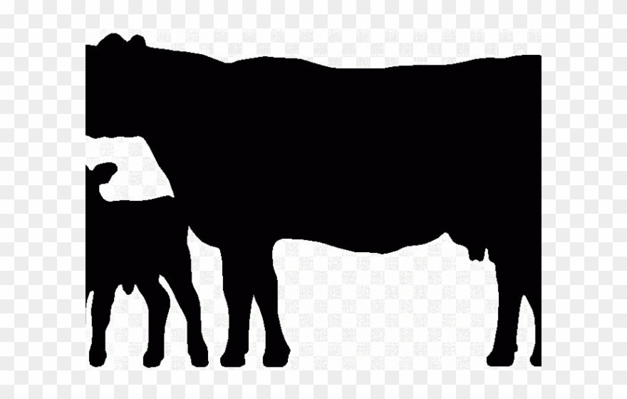 Cattle Clipart Dairy Cow - Cow Silhouette - Png Download