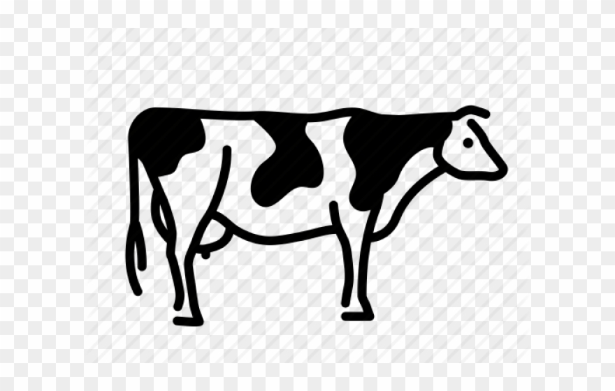 Cow Icon Png Clipart (#1957878) - PinClipart