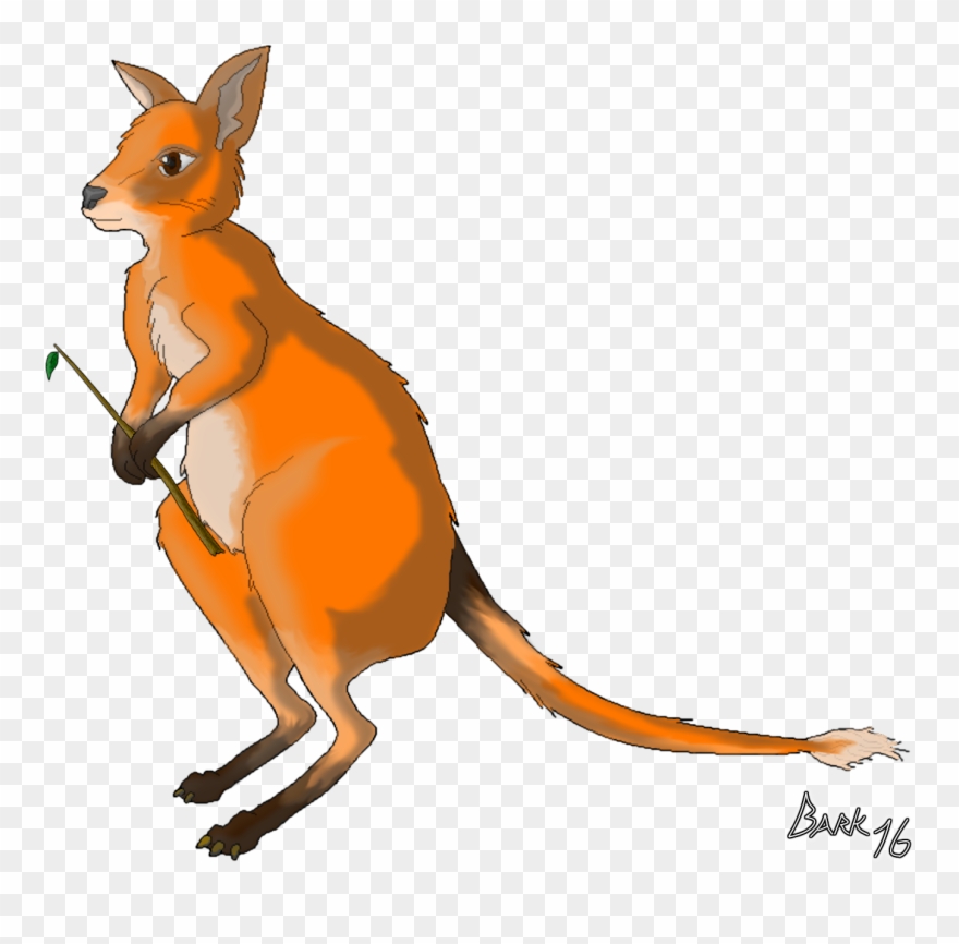 A - Kangaroo Clipart
