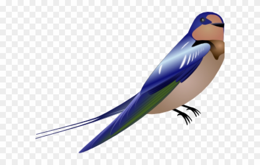 Peacock Clipart Burung - Cartoon Swallow - Png Download