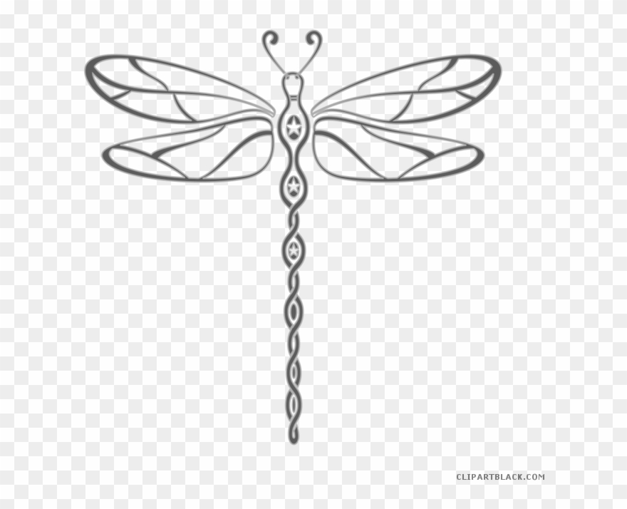 Insect A Drawing Transprent Png Moths Butterflies - Transparent Background Dragonfly Clipart