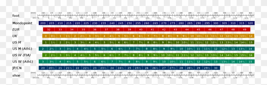 Men Shoe Size Chart Clipart