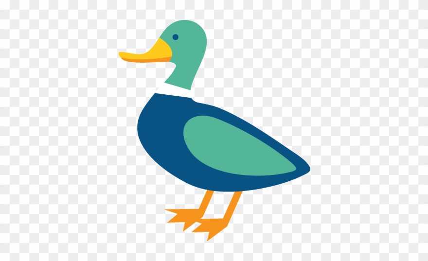 Duck Clipart