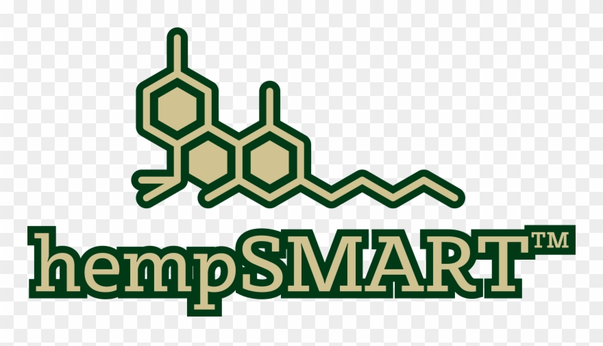 College Football Is Football Played By Teams Of Student Clipart