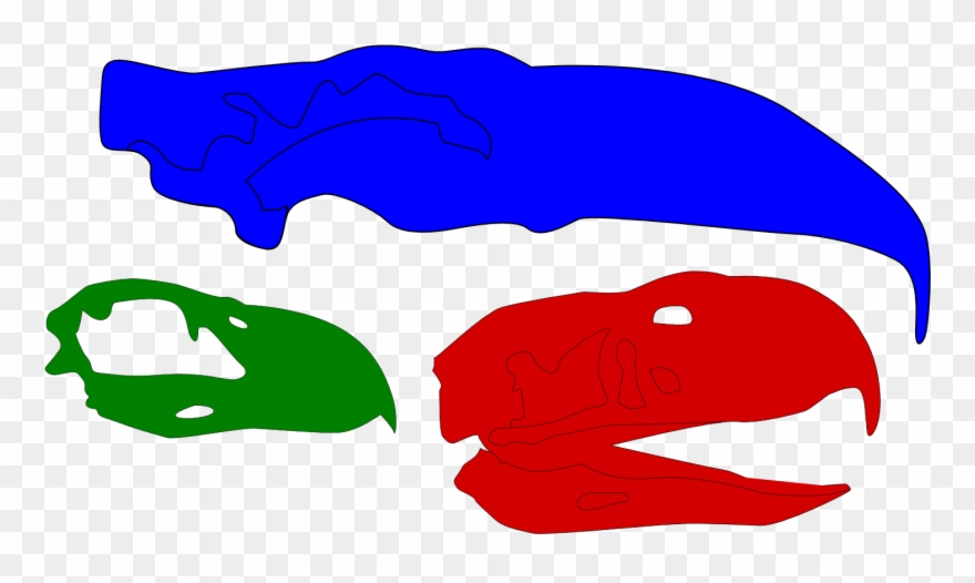 Skulls Of Phorusrhacids - Phorusrhacids Skull Clipart