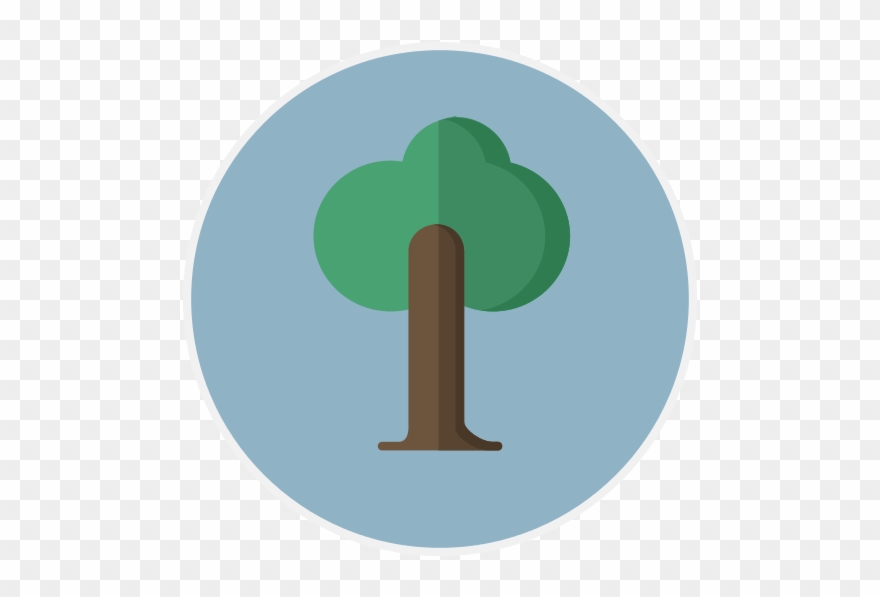 240 × 240 بكسل - Tree Circle Icon Png Clipart