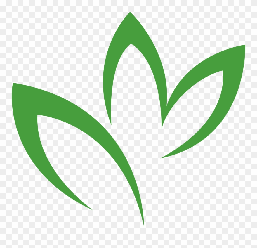 Calix-leaf - Clipart