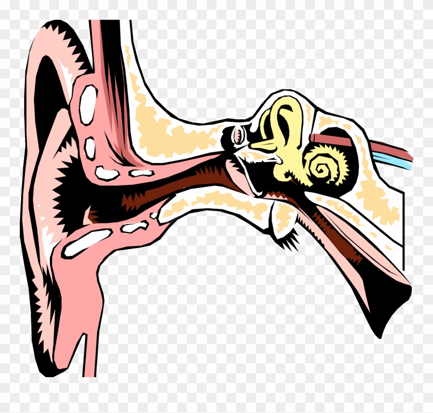 In The Interest Of Safety And To Make Sure Irrigation Clipart