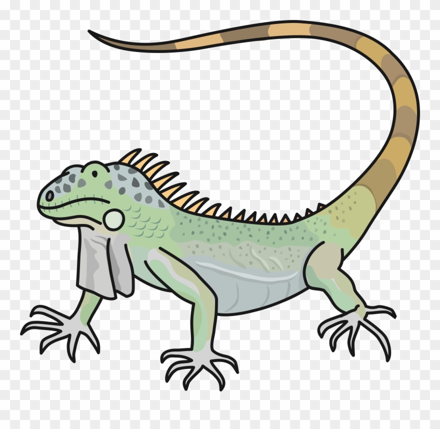 Lizard Clipart