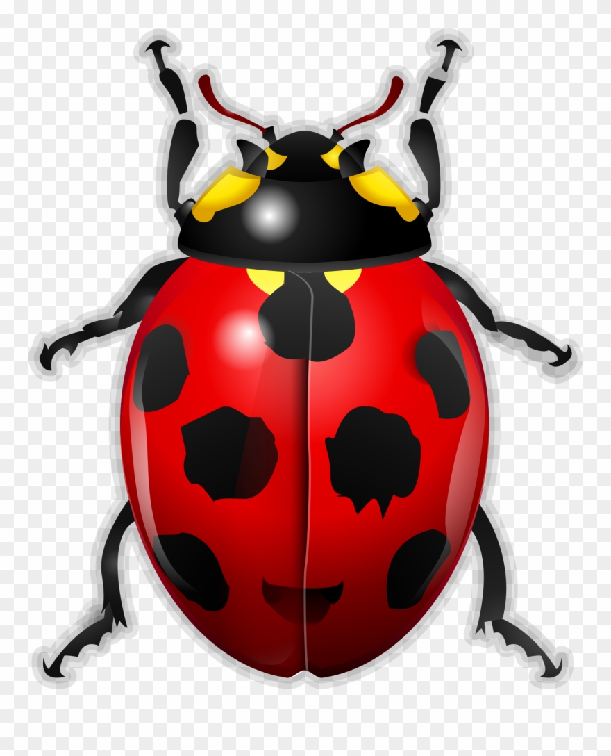 File Oxygen Kbugbuster Svg Wikimedia Commons Open Clipart