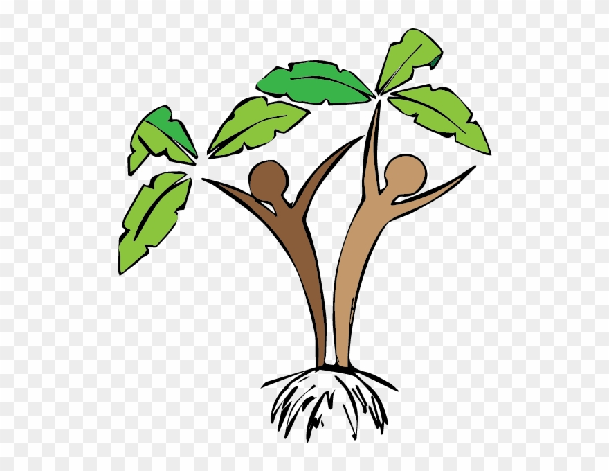 Plants Clipart