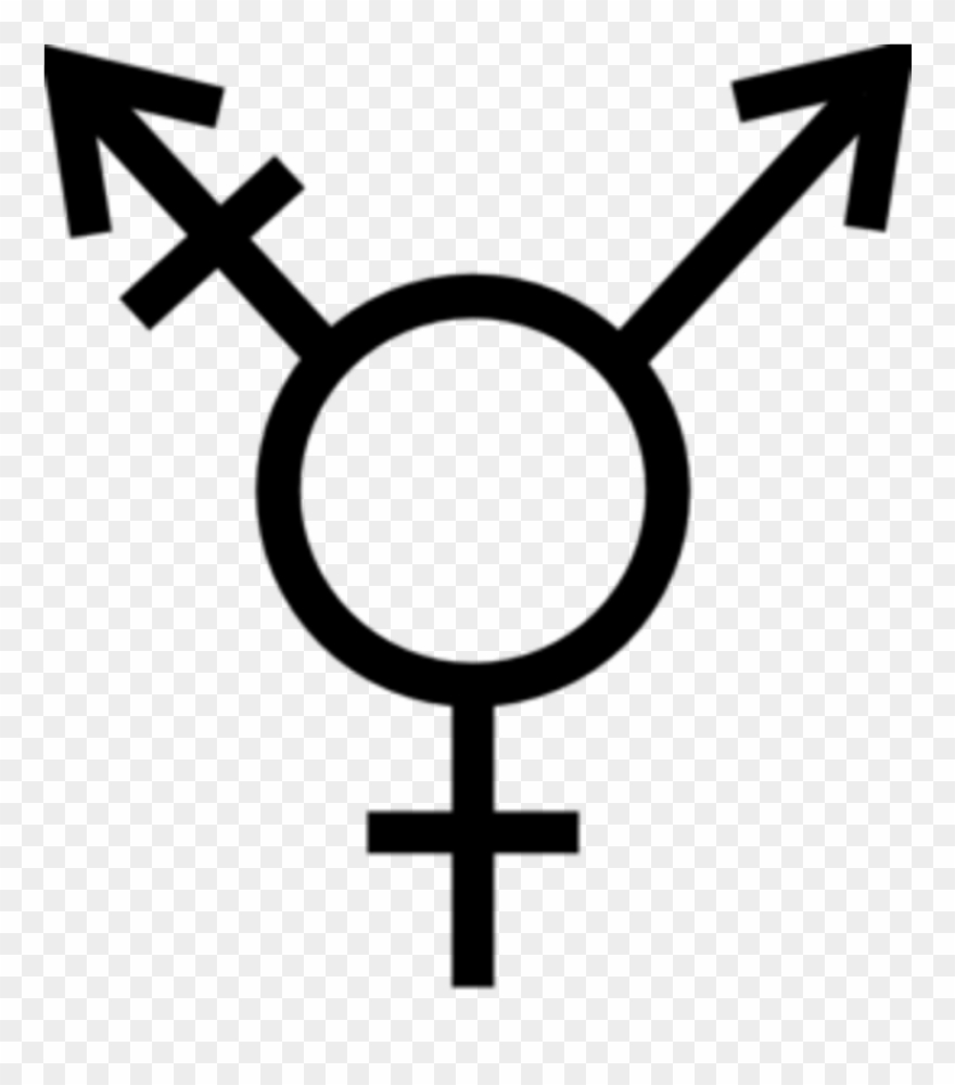 9 Queer Pride Flags That You Probably Didn't Know About - Transgender Symbol Clipart