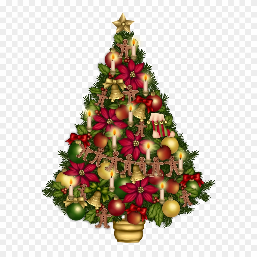 Fir, Christmas, Christmas, Christmas Tree Clipart, - زينة عيد الميلاد المجيد - Png Download
