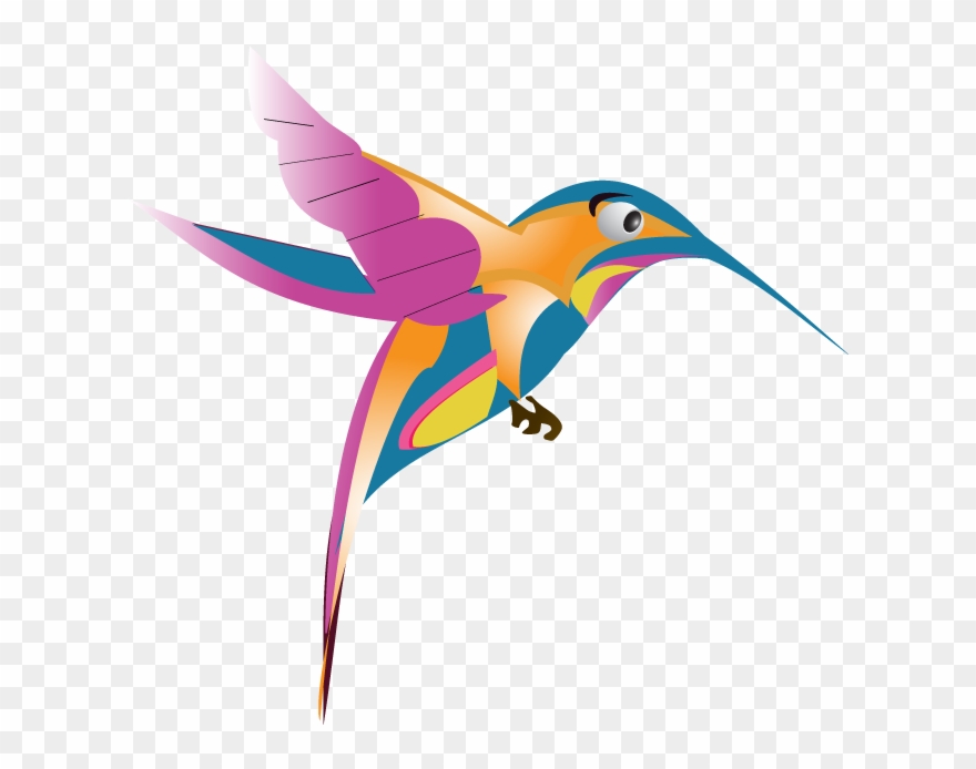 Google Hummingbird Free Image Thoughtshift Clipart