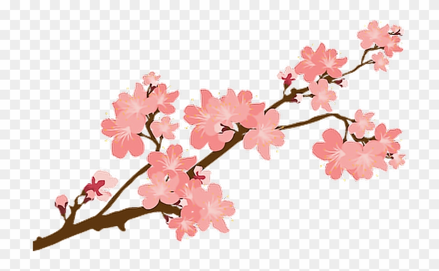 Reportar Abuso - Transparent Cherry Blossom Vector Clipart