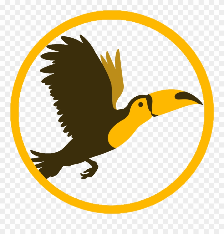 They Are Currently Based In Central Poland And The - Hornbill Clipart
