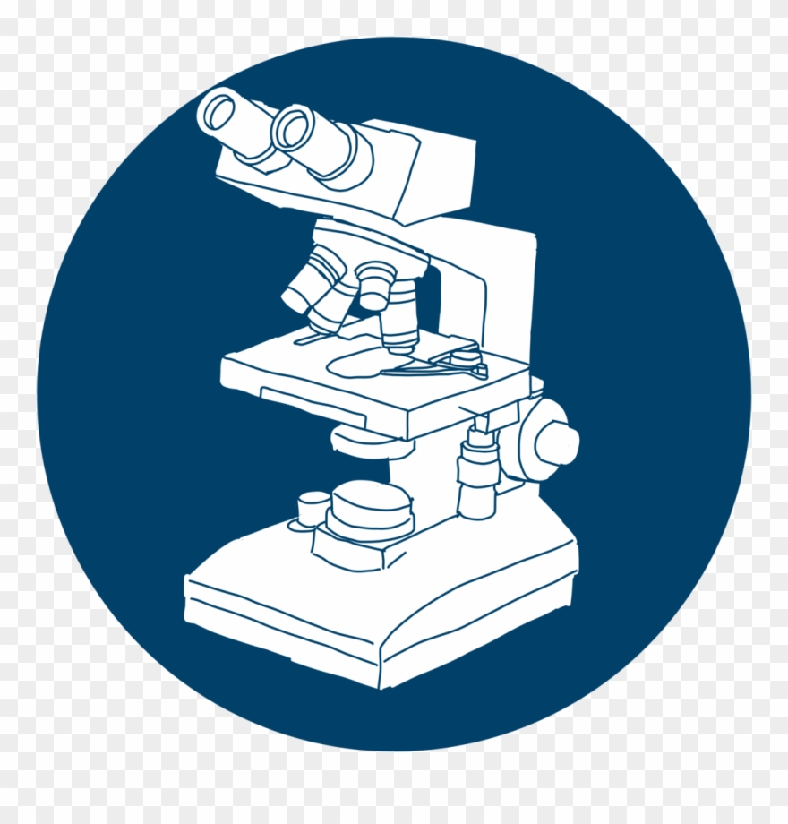 Previous Item Civilian Header Next Item Esd Preview - Stairs Clipart