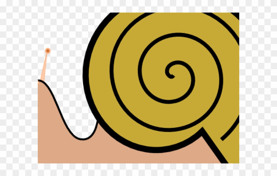 Snail Clipart Pond Snail - Cartoon Snail Shell - Png Download