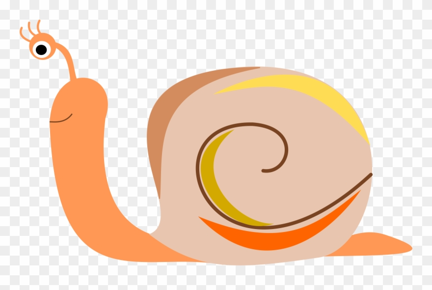 Big Image - Snail Clip Art - Png Download