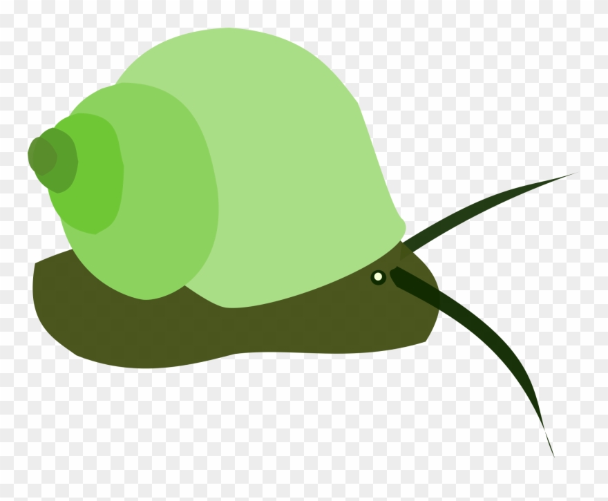Open - Common Periwinkle Clipart