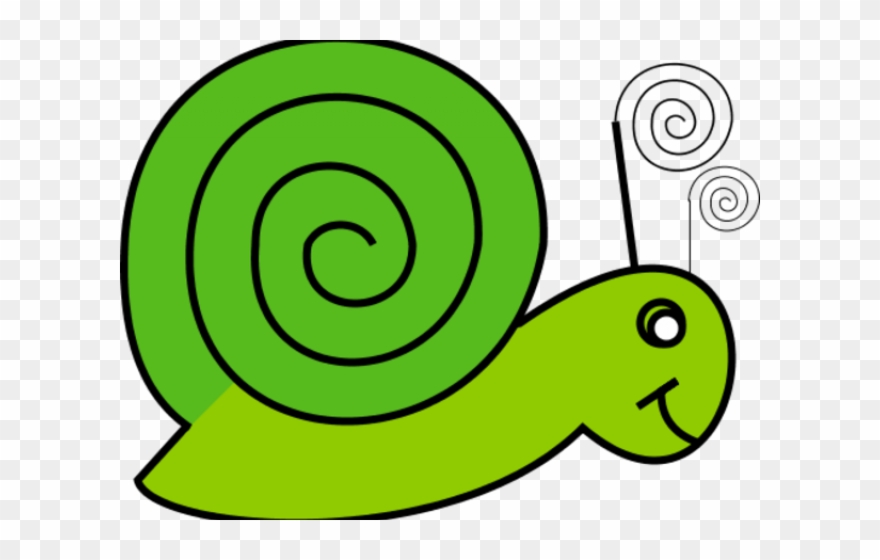 Snail Clipart Colorful - Caracol Png Niños Transparent Png