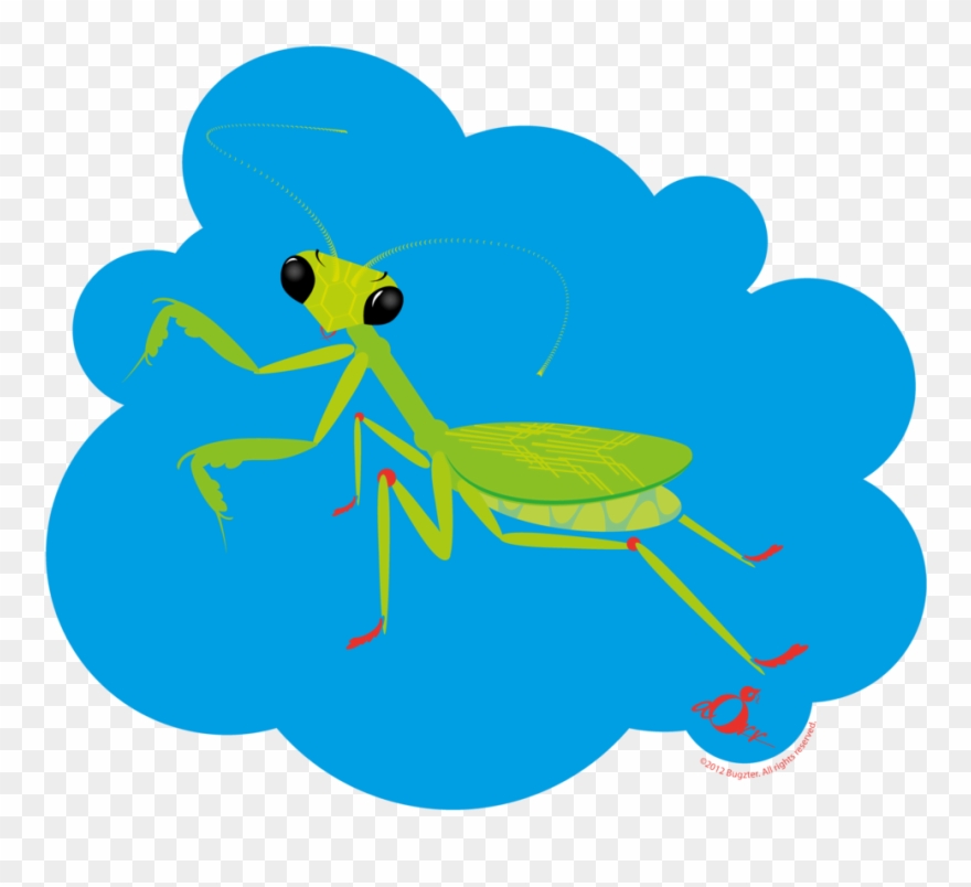 Preyingmantis-02 - Portable Network Graphics Clipart